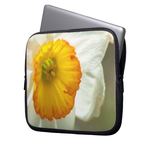 Daffodil Laptopschutzhülle (Vorderseite Links)