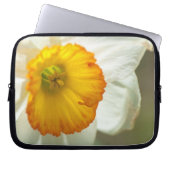 Daffodil Laptopschutzhülle (Vorderseite)
