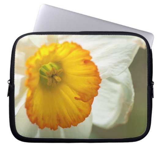 Daffodil Laptopschutzhülle (Vorderseite)
