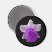 Daffodil Lila Magnet (Vorderseite/Rückseite)