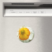Daffodil Magnet (In Situ (Geschirrspüler))
