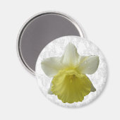 Daffodil Magnet (Vorderseite/Rückseite)