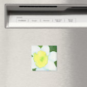 Daffodil Magnet (In Situ (Geschirrspüler))