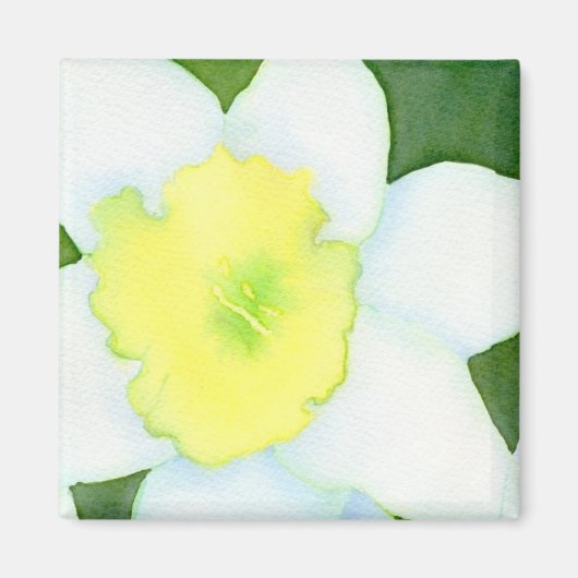 Daffodil Magnet (Vorne)