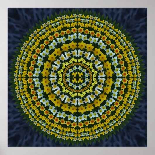 Daffodil Mandala Poster (Vorne)