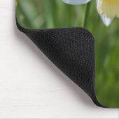 Daffodil Mousepad (Ecke)