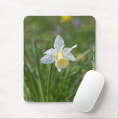 Daffodil Mousepad (Mit Mouse)