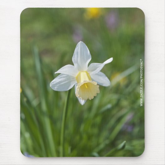 Daffodil Mousepad (Vorne)