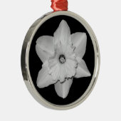 Daffodil Nah-up (B&W) Ornament (Rechts)