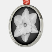 Daffodil Nah-up (B&W) Ornament (Links)