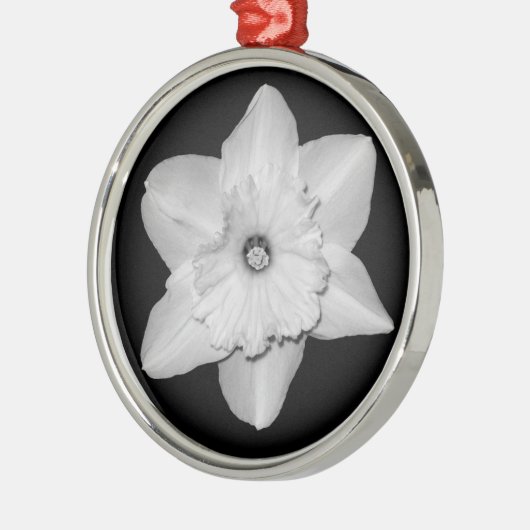 Daffodil Nah-up (B&W) Ornament (Links)