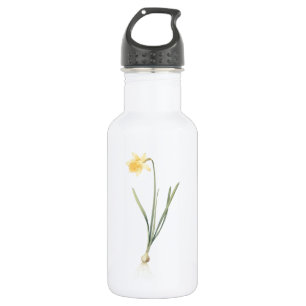 daffodil (Narcissus pseudo-narcissus) von Redouté Edelstahlflasche