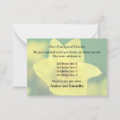 Daffodil New Address Announcement Mitteilungskarte (Rückseite)