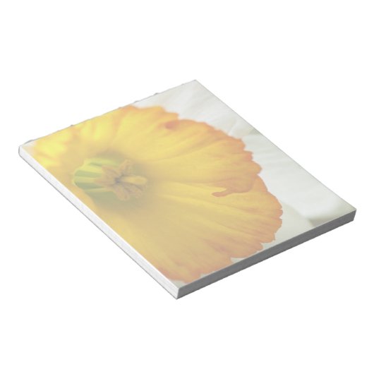 Daffodil Notizblock (angewinkelt)