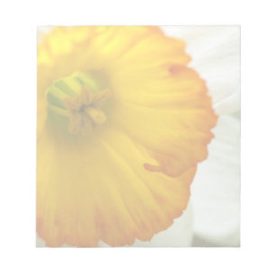 Daffodil Notizblock