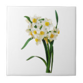Daffodil oder Narcissus von Pierre Joseph Redoute Fliese (Vorderseite)