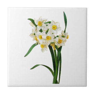 Daffodil oder Narcissus von Pierre Joseph Redoute Fliese
