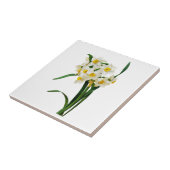 Daffodil oder Narcissus von Pierre Joseph Redoute Fliese (Seite)