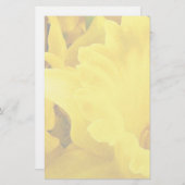 Daffodil Petals Briefpapier (Vorne/Hinten)