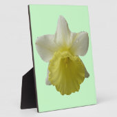 Daffodil Plaque Fotoplatte (Seite)