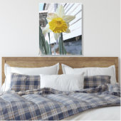 Daffodil Portrait Leinwanddruck (Insitu (Schlafzimmer))