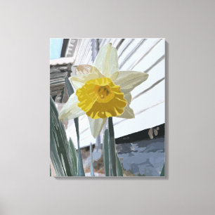 Daffodil Portrait Leinwanddruck
