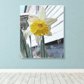 Daffodil Portrait Leinwanddruck (Insitu (Holzboden))