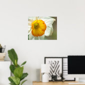 Daffodil Poster (Heimbüro)