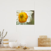 Daffodil Poster (Küche)