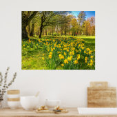 DAFFODIL POSTER (Küche)