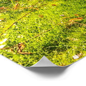 DAFFODIL POSTER (Ecke)