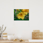 Daffodil Poster (Küche)