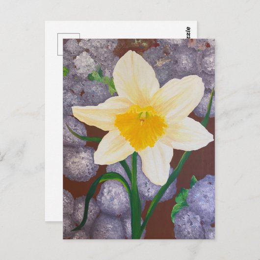 Daffodil Postkarte (Vorne/Hinten)