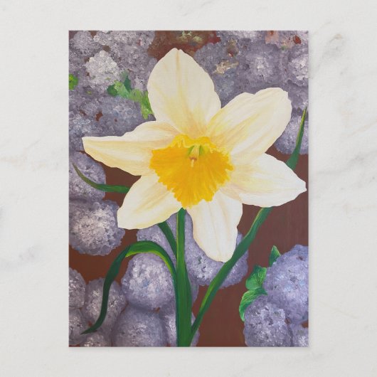 Daffodil Postkarte (Vorderseite)