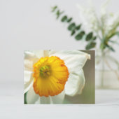 Daffodil Postkarte (Stehend Vorderseite)