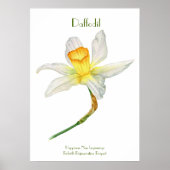 Daffodil Print, Value Poster Paper (Matte) (Vorne)