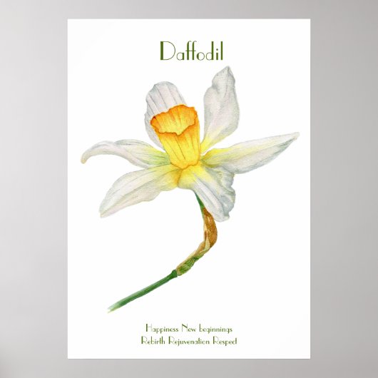 Daffodil Print, Value Poster Paper (Matte) (Vorne)