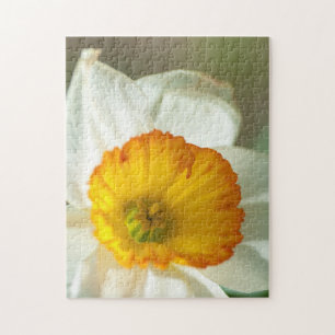Daffodil Puzzle