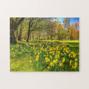 DAFFODIL PUZZLE