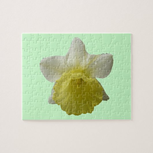 Daffodil Puzzle (Horizontal)