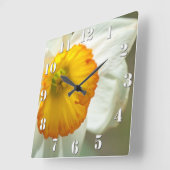 Daffodil Quadratische Wanduhr (Winkel)
