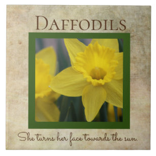 Daffodil Quote Frühjahrsveranstaltung Blume Fliese