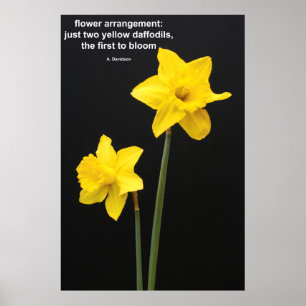 Daffodil-Quote Poster