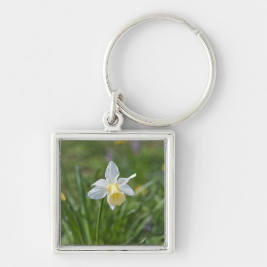 Daffodil Schlüsselanhänger (Vorne)