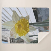 Daffodil Sherpa Große Decke Sherpadecke (Vorderseite (Horizontal))