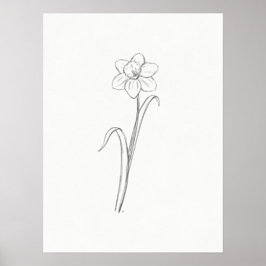Daffodil Sketch Print Poster (Vorne)