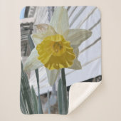 Daffodil Small Sherpa Blanket Sherpadecke (Vorderseite)