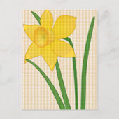 Daffodil Springtime Yellow Blume Design Postkarte (Vorderseite)