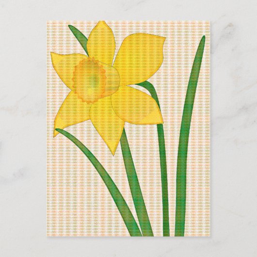 Daffodil Springtime Yellow Blume Design Postkarte (Vorderseite)