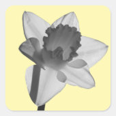 Daffodil Sticker (Vorderseite)